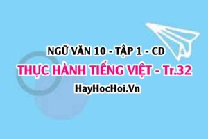 Soạn bài Thực hành tiếng Việt trang 32 lớp 10 Cánh Diều tập 1